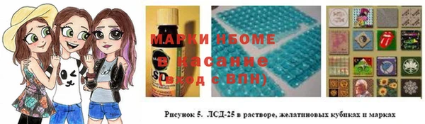 индика Протвино