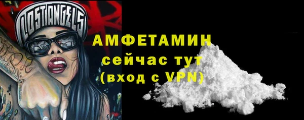 индика Протвино