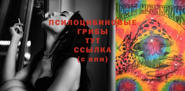 круглые Абаза