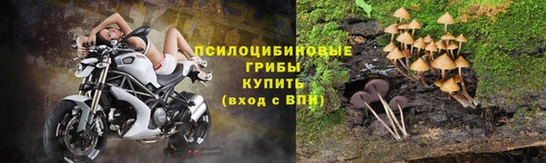 кокс Абдулино