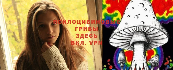 круглые Абаза