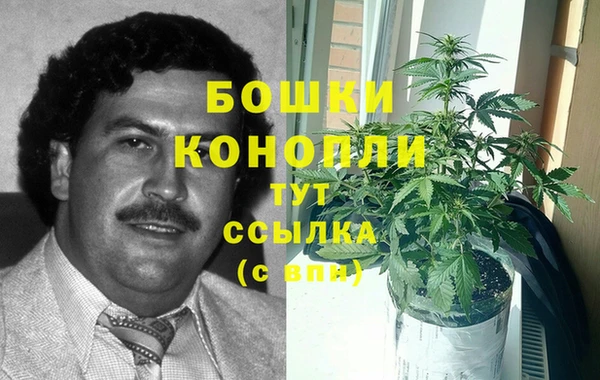 индика Протвино
