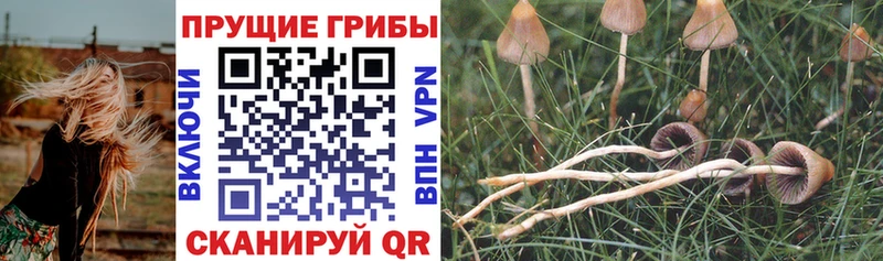 Галлюциногенные грибы Magic Shrooms  Белоусово 