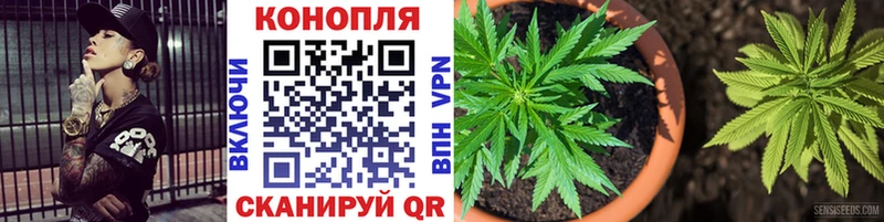 Бошки марихуана MAZAR  darknet какой сайт  Белоусово 